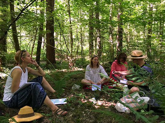 Contact us about workshops A workshop in the woods
